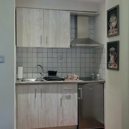 Fidgi Apartment Nea Kallikrateia
