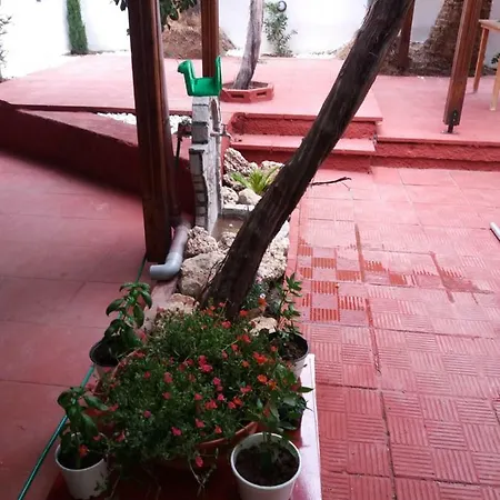 Fidgi Apartment